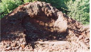pomace project